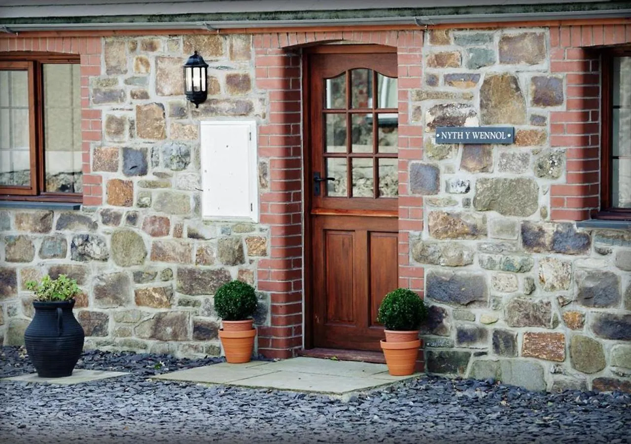 Apartmán Nyth Y Wennol *