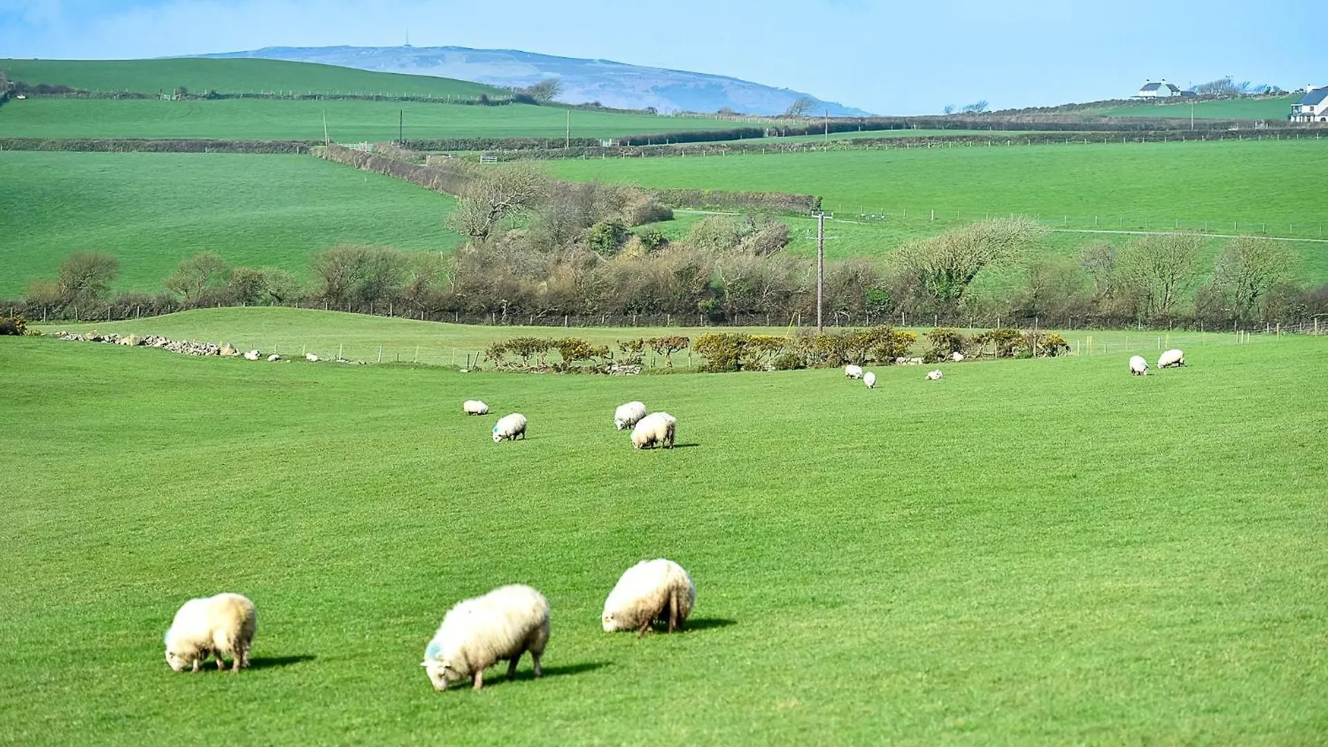Y Wenffrwd Holiday home Abersoch